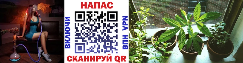 Хочу наркоту Яранск АМФ Гашиш Бошки Шишки Cocaine СОЛЬ