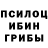 Псилоцибиновые грибы мицелий Ahmadjoniv Fahriddin