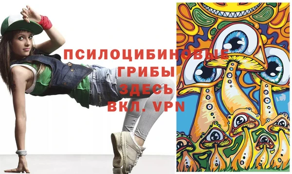 ГАЛЛЮЦИНОГЕННЫЕ ГРИБЫ Киреевск
