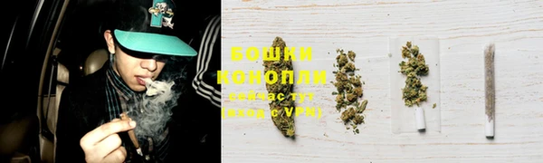 ГАЛЛЮЦИНОГЕННЫЕ ГРИБЫ Киреевск