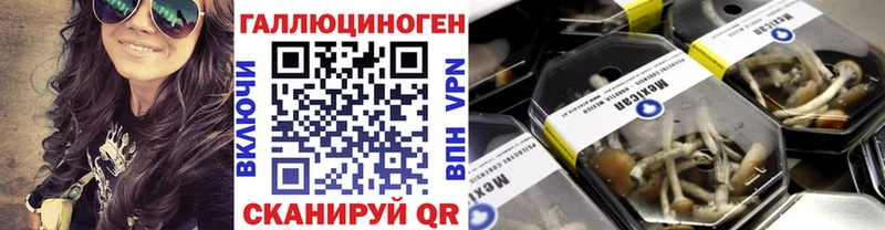 Галлюциногенные грибы Psilocybine cubensis  Яранск 